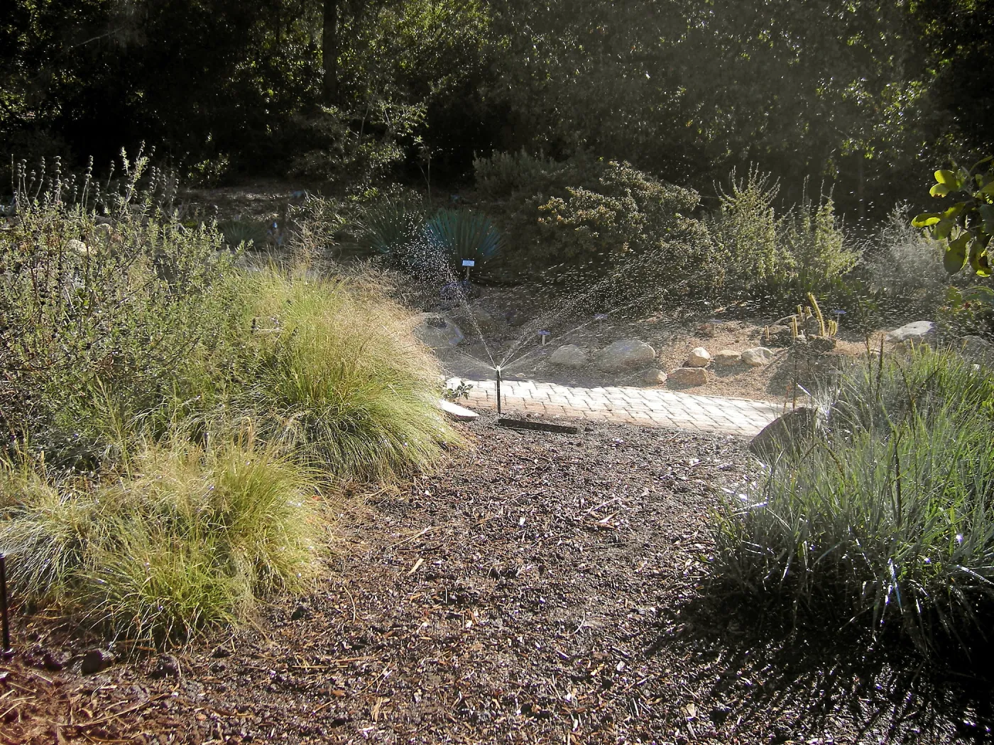 Irrigation press pictures