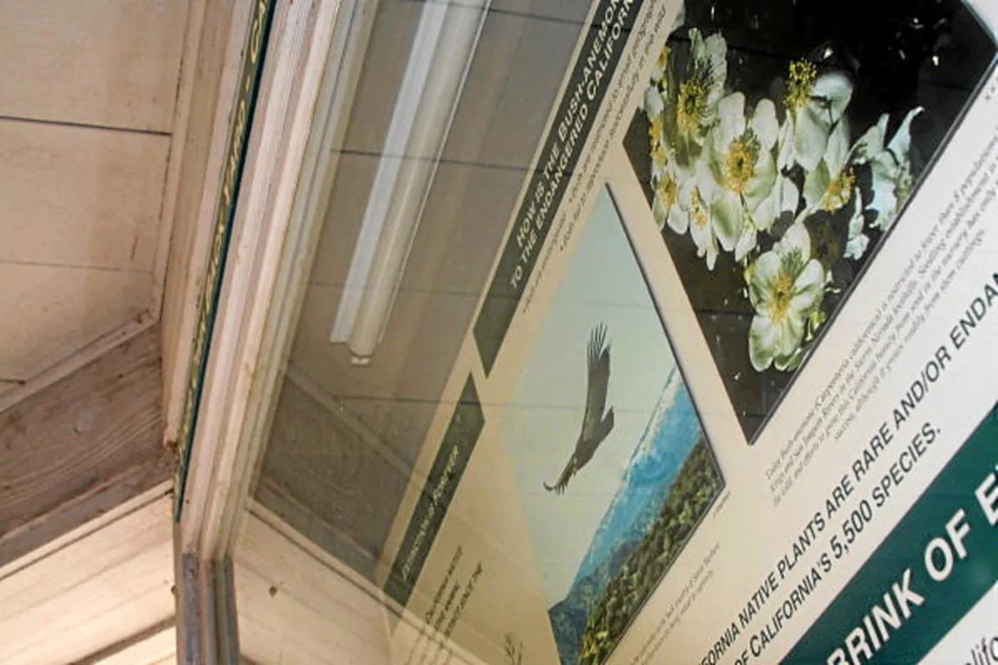 Information Kiosk, Exisiting Cabinets