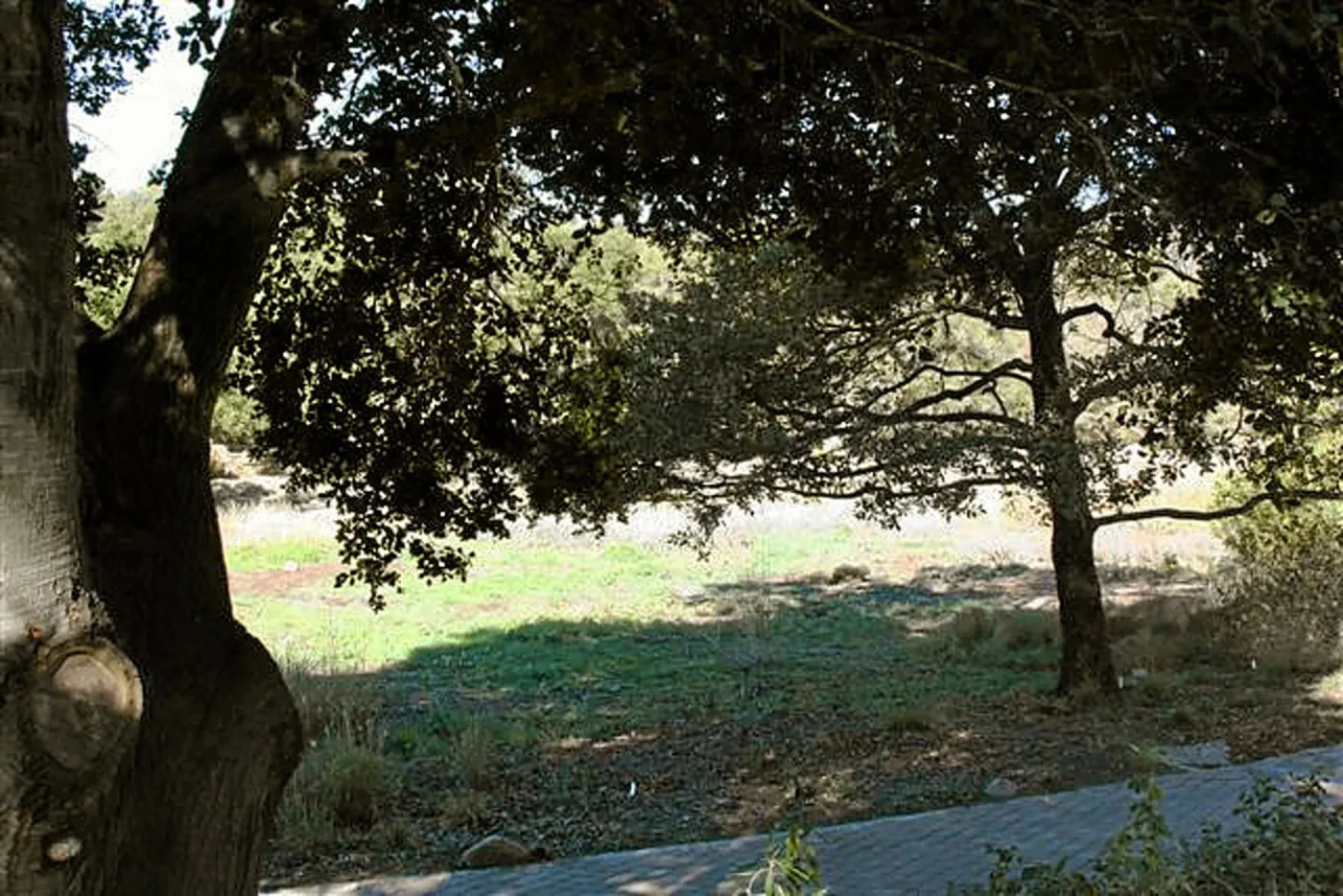 View to Meadow Terrace from North west, halfway up the steps