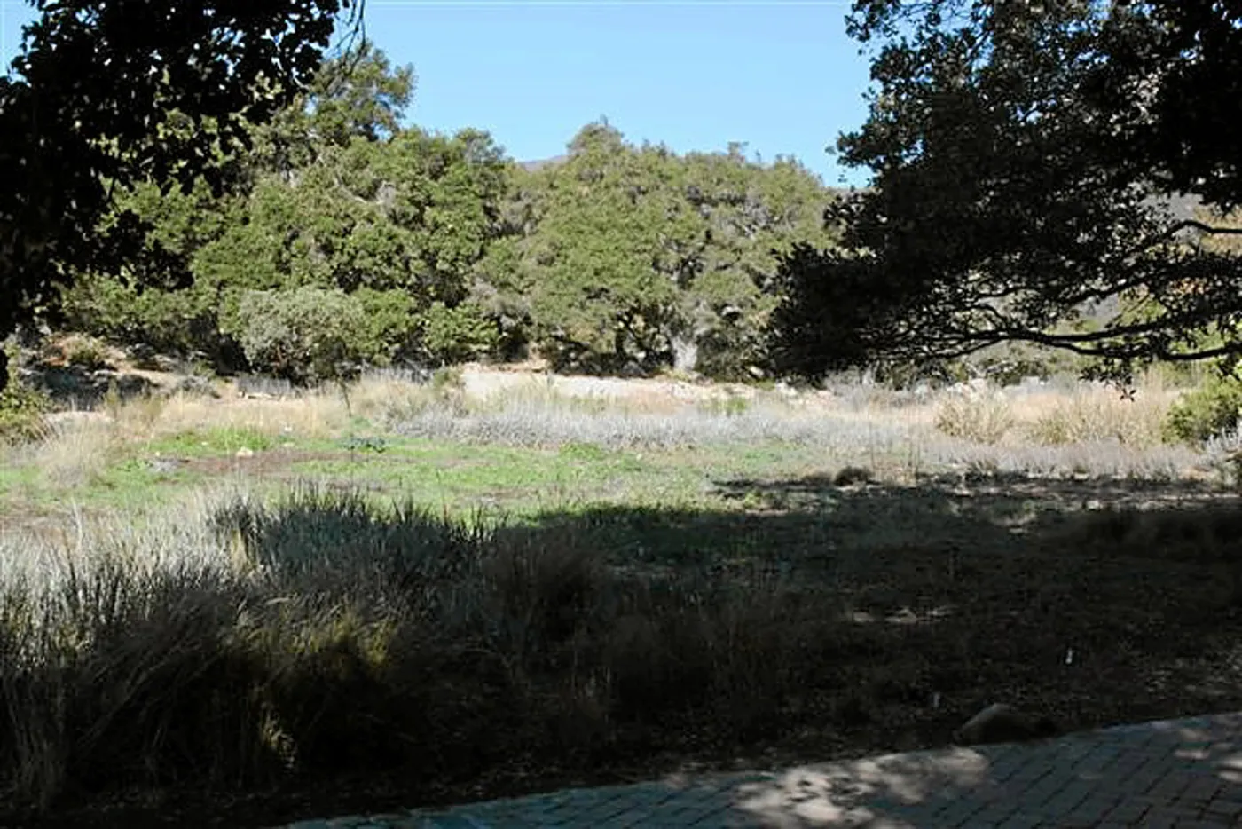 View to Meadow Terrace, from North west path leading to steps