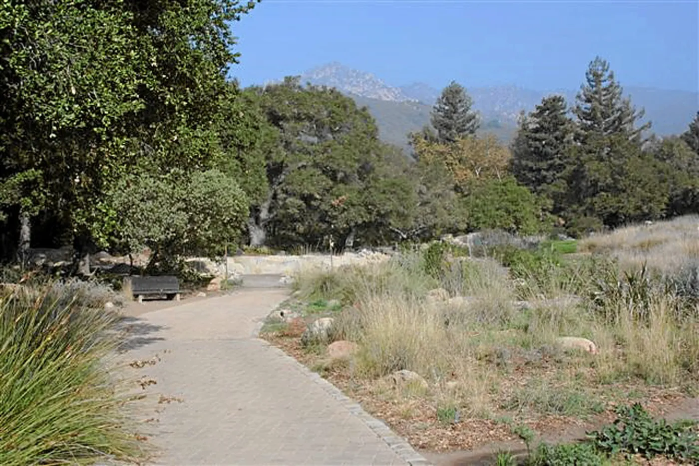 Meadow Terrace, North, loop near pond