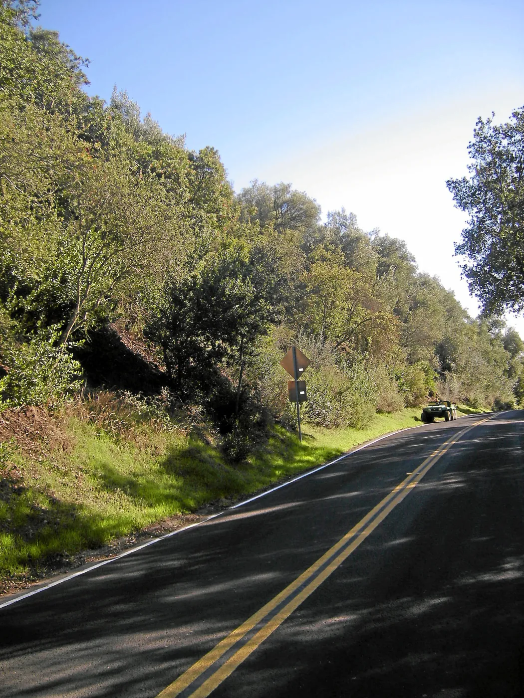 Brush along Mission Canyon Road