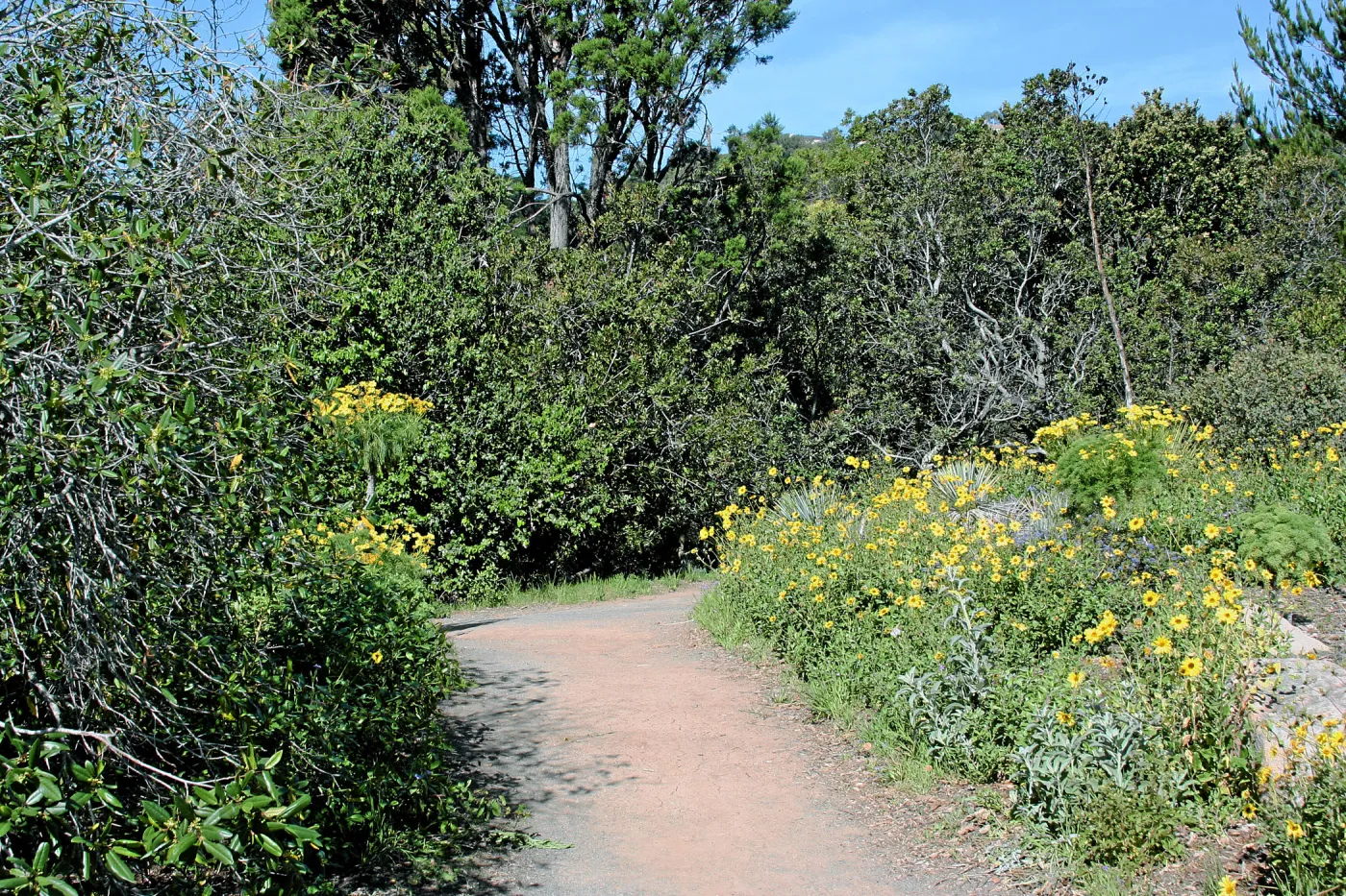 Paved trails on the Porter Trail