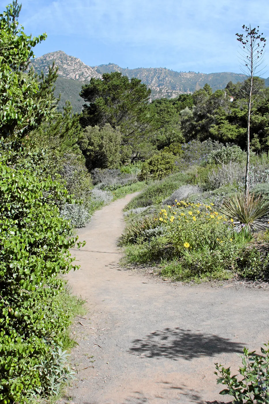 Paved trails on the Porter Trail