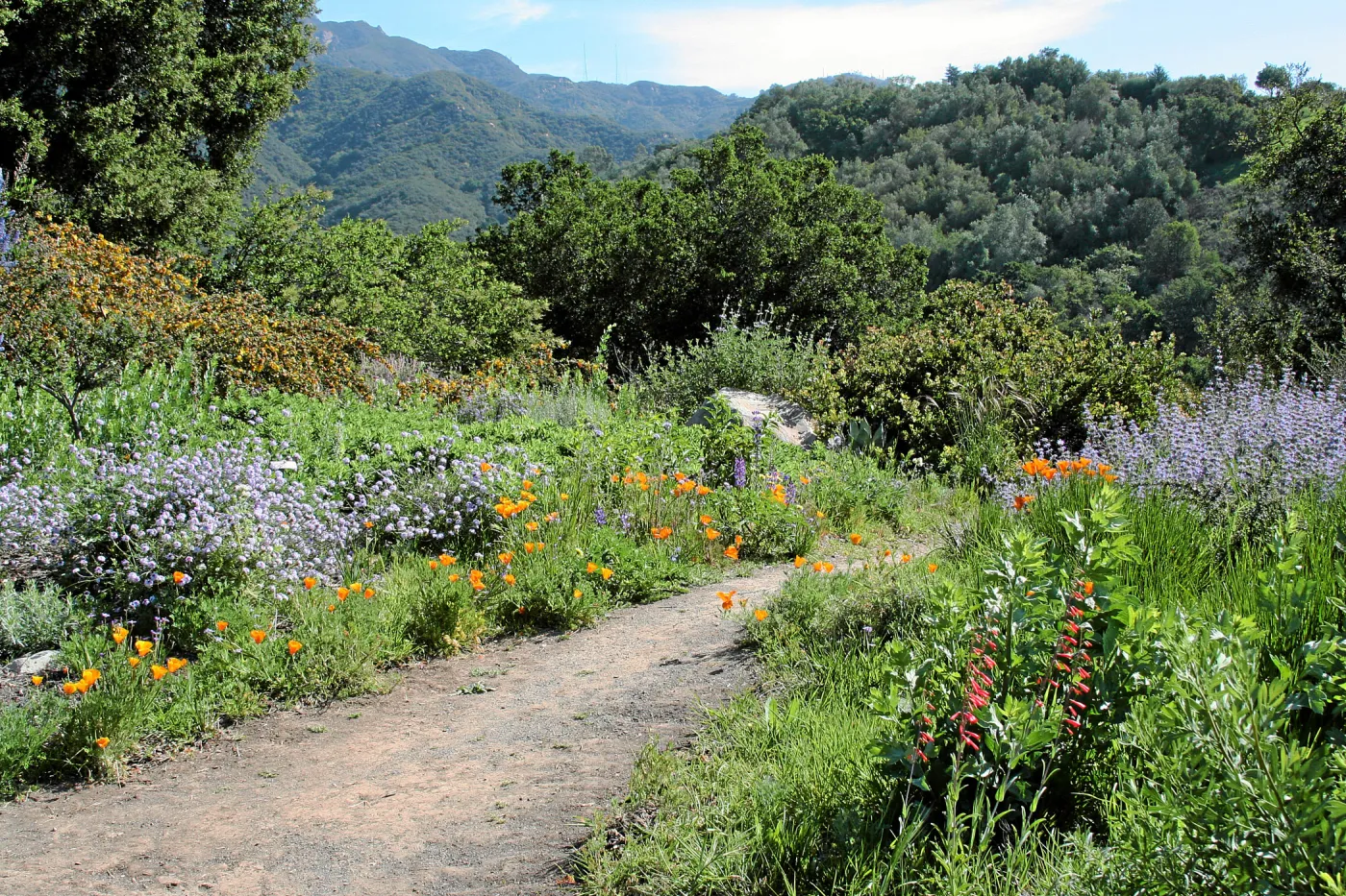 Paved trails on the Porter Trail