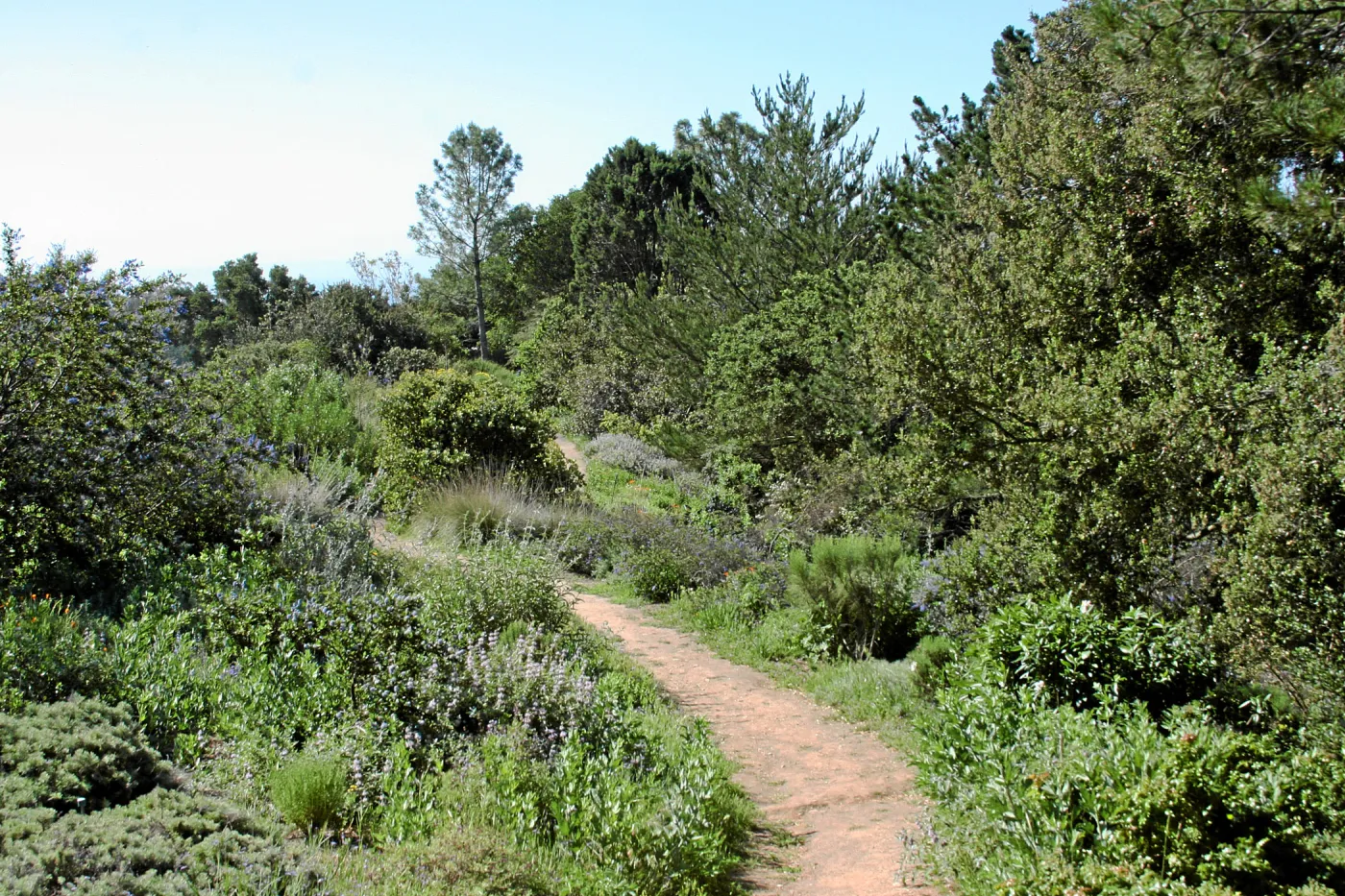 Paved trails on the Porter Trail