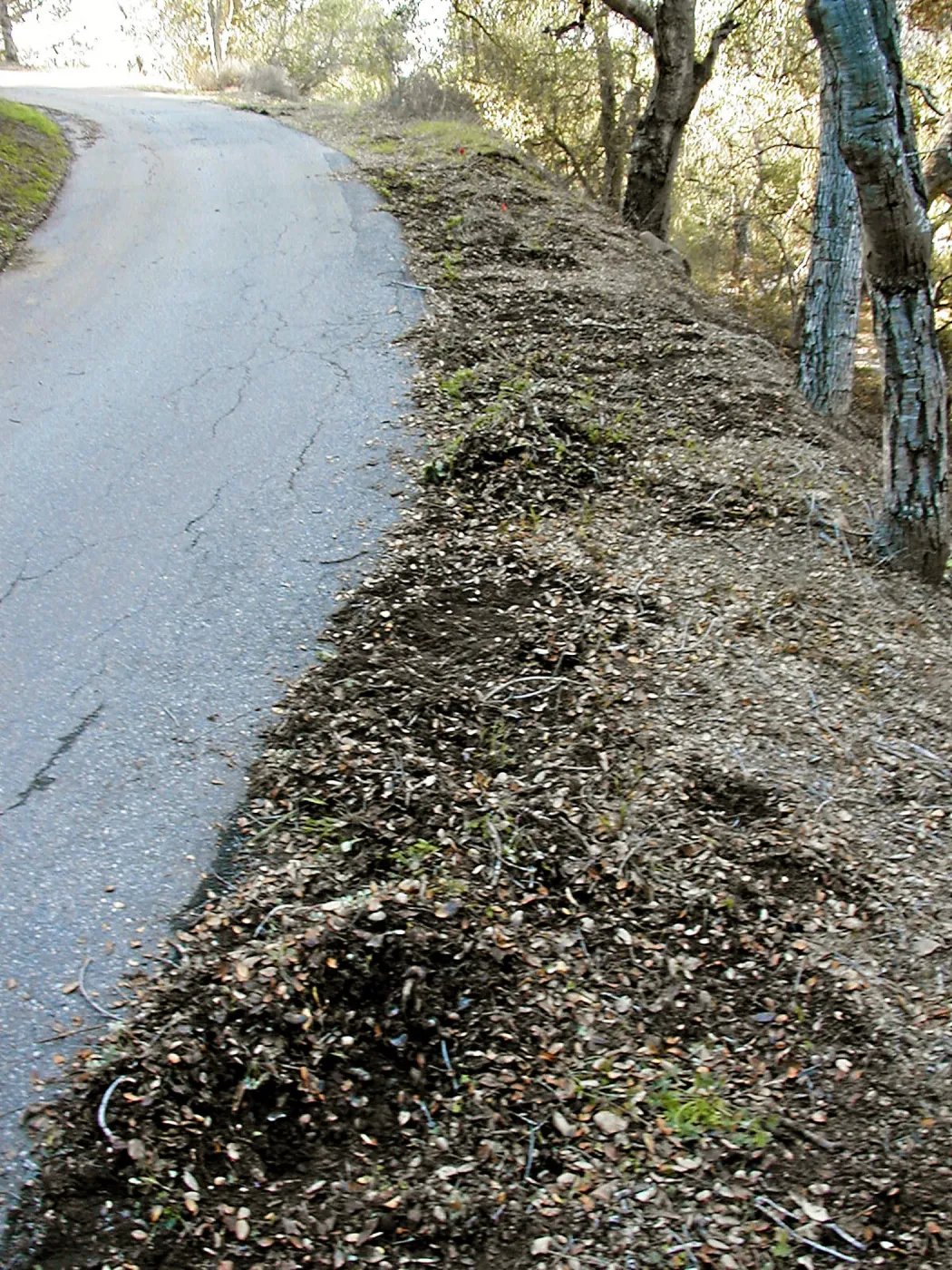 Road edge before planting, Hayhill, Toro canyon