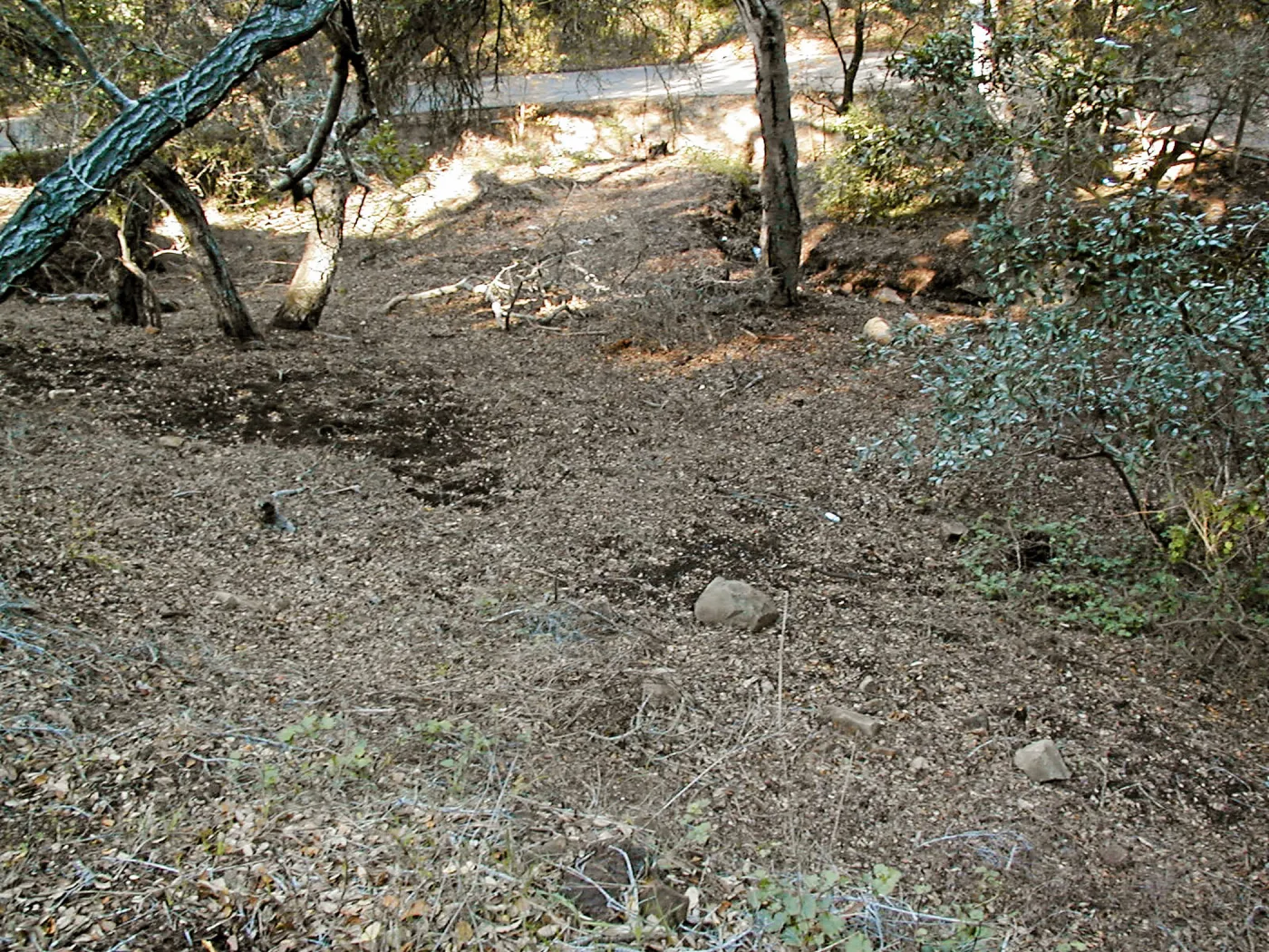 Toro canyon, winter