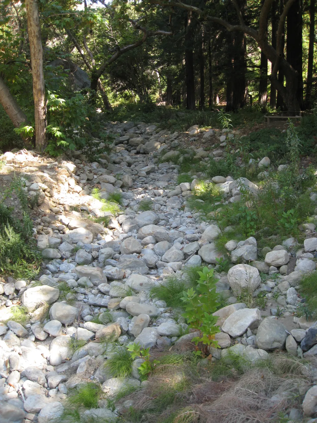 Creek bed above Mission Dam