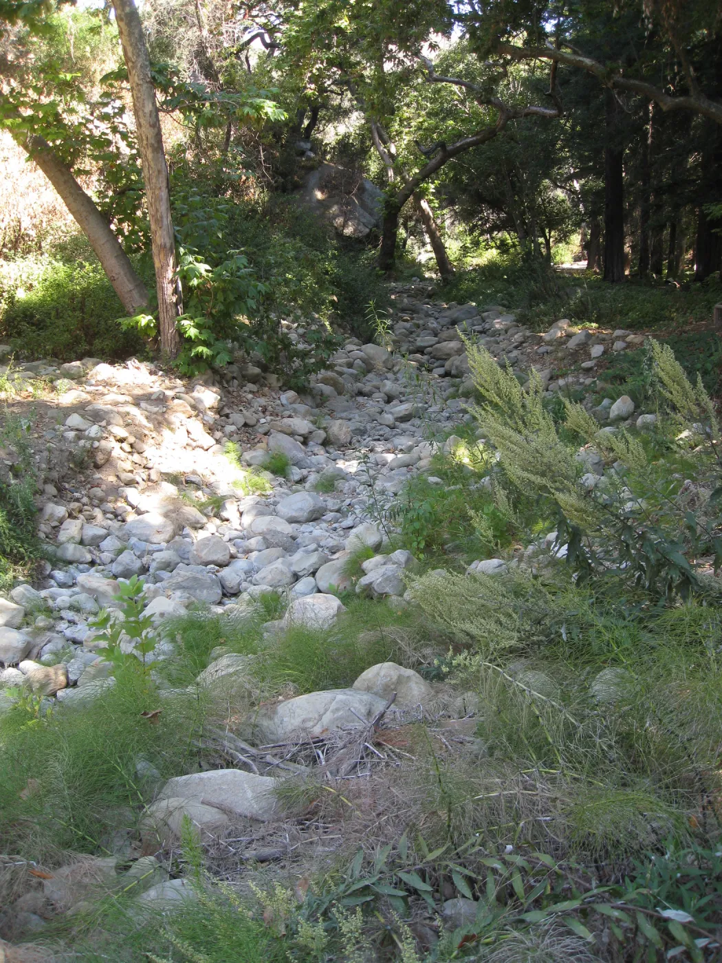 Creek bed above Mission Dam
