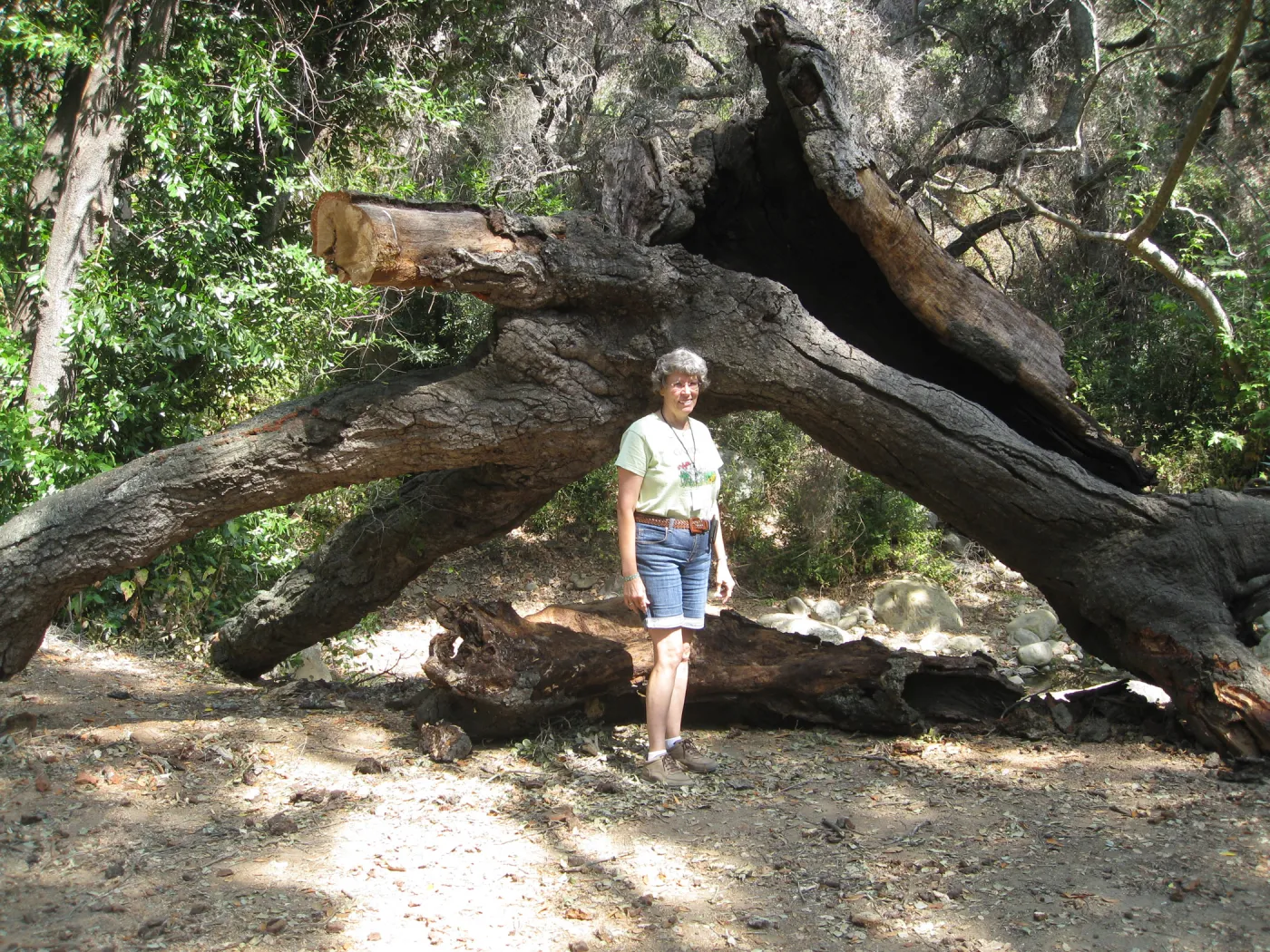 Ingrid Kaper with oak remains in Canyon