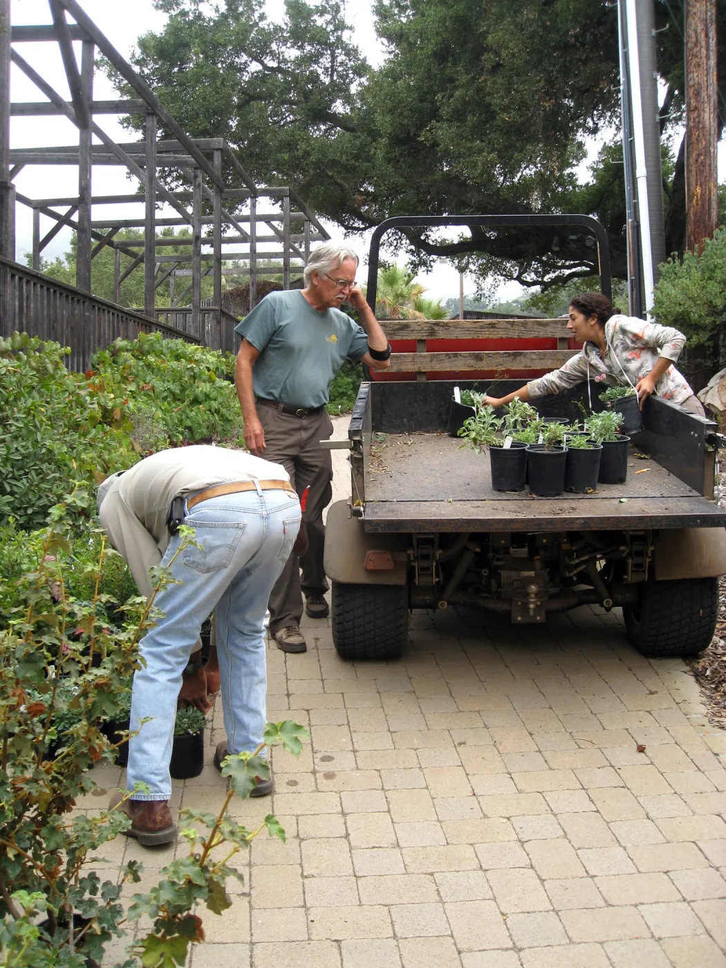 Fall plant sale setup