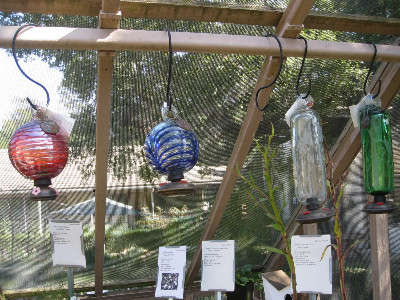 Fall plant sale setup. Lath house products