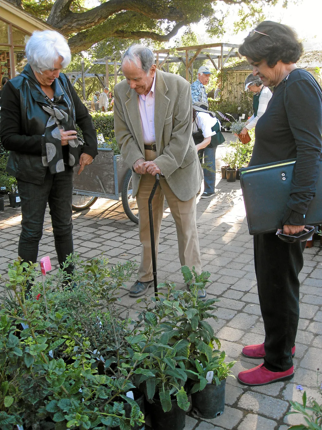 2011 Fall plant sale preview party, Sue Adams, Kellam de Forest, Sydney Baumgartner