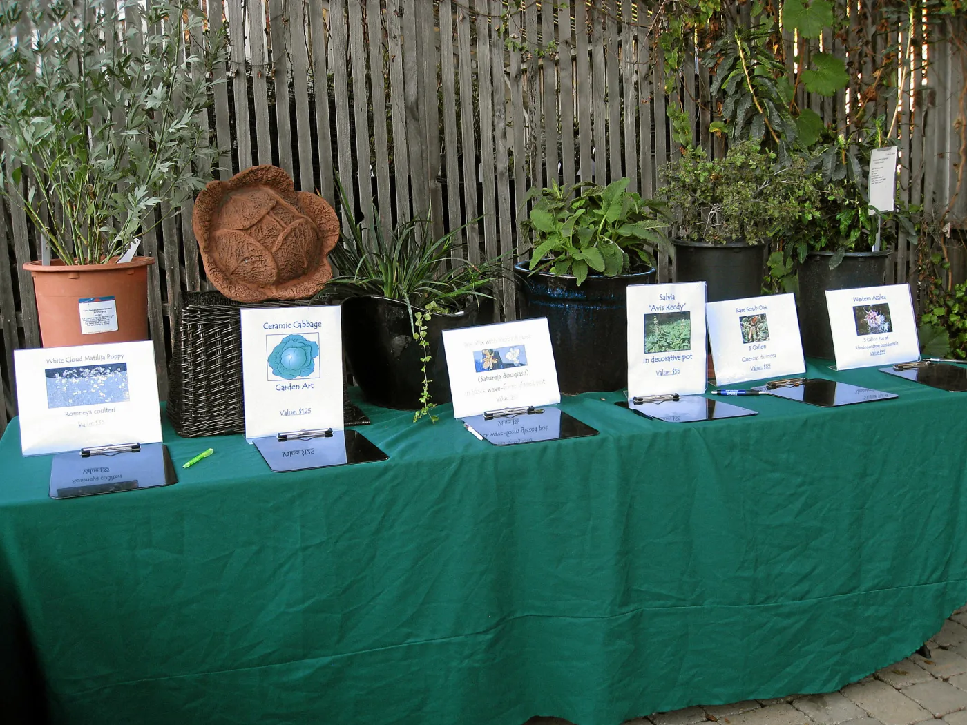 2011 Fall plant sale preview party