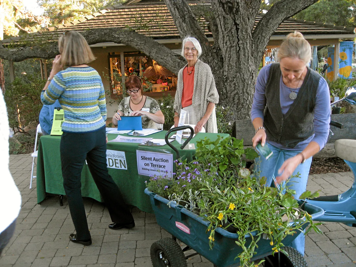 2011 Fall plant sale preview party, Corinne Gallagher