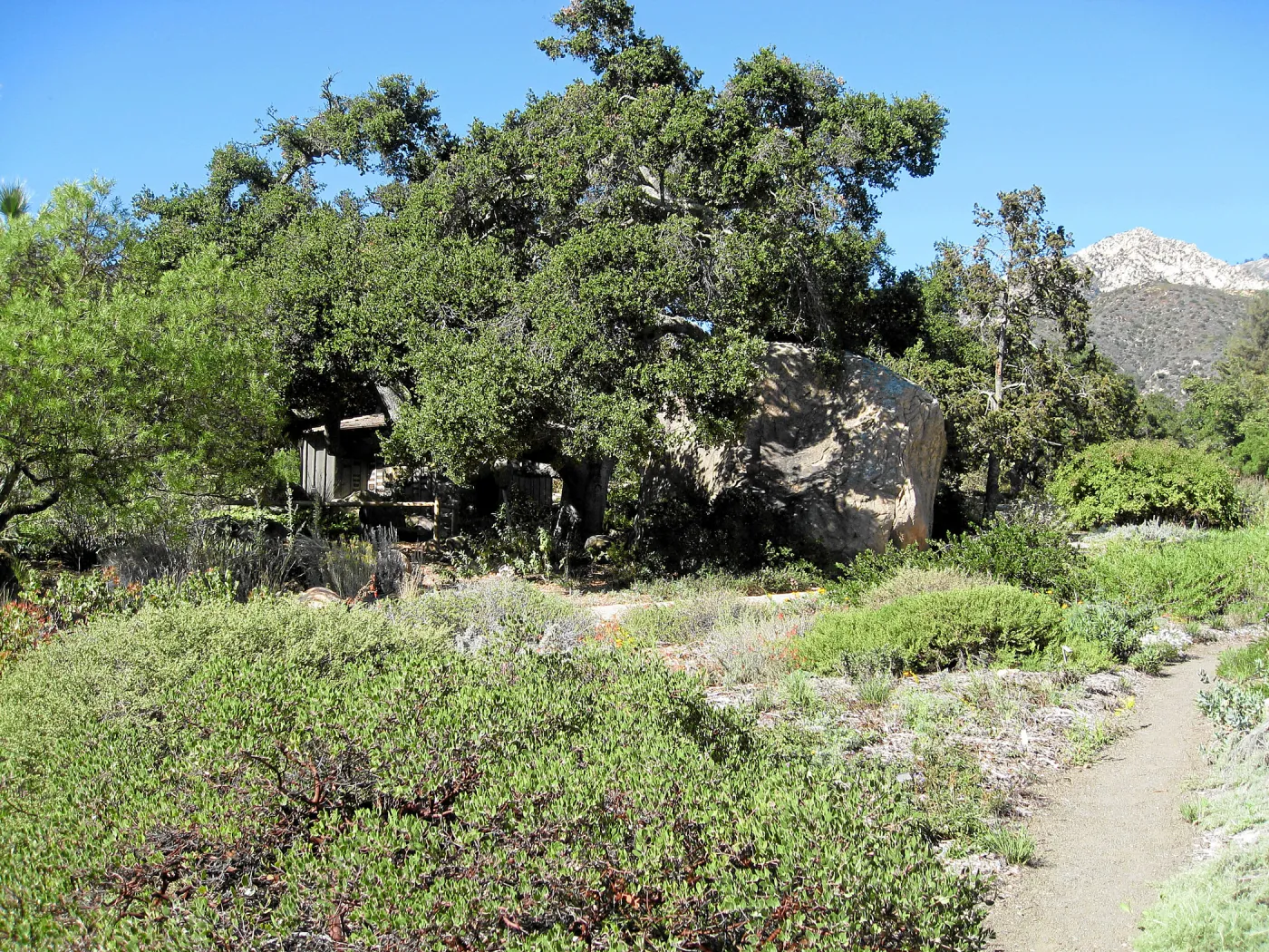 Groundcover display