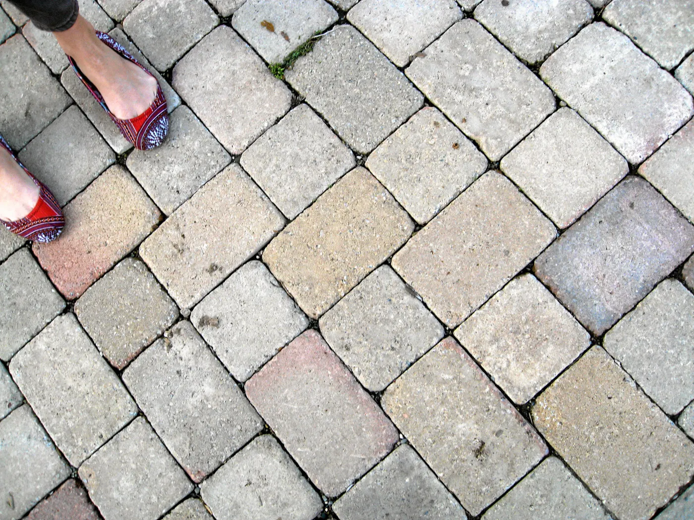 Pavers in the vicinity of the Meadow Oaks