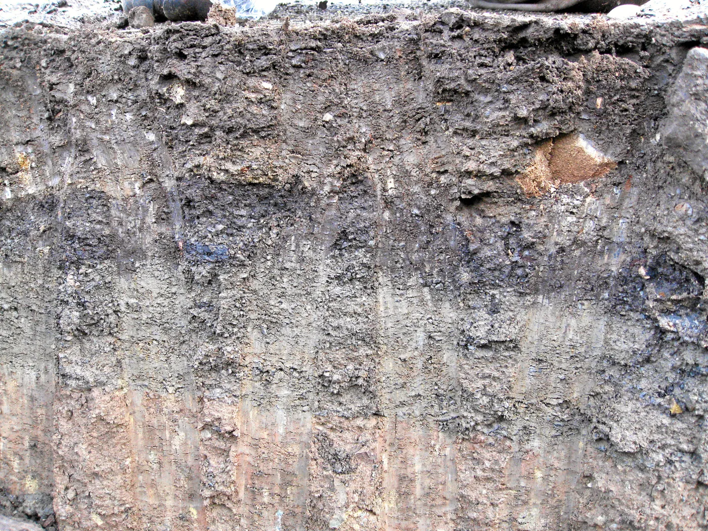Soil profile showing shale buildup in holes dug for new oak trees in the Meadow Oaks