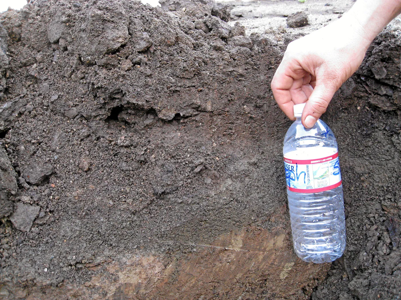 Soil profile showing shale buildup in holes dug for new oak trees in the Meadow Oaks