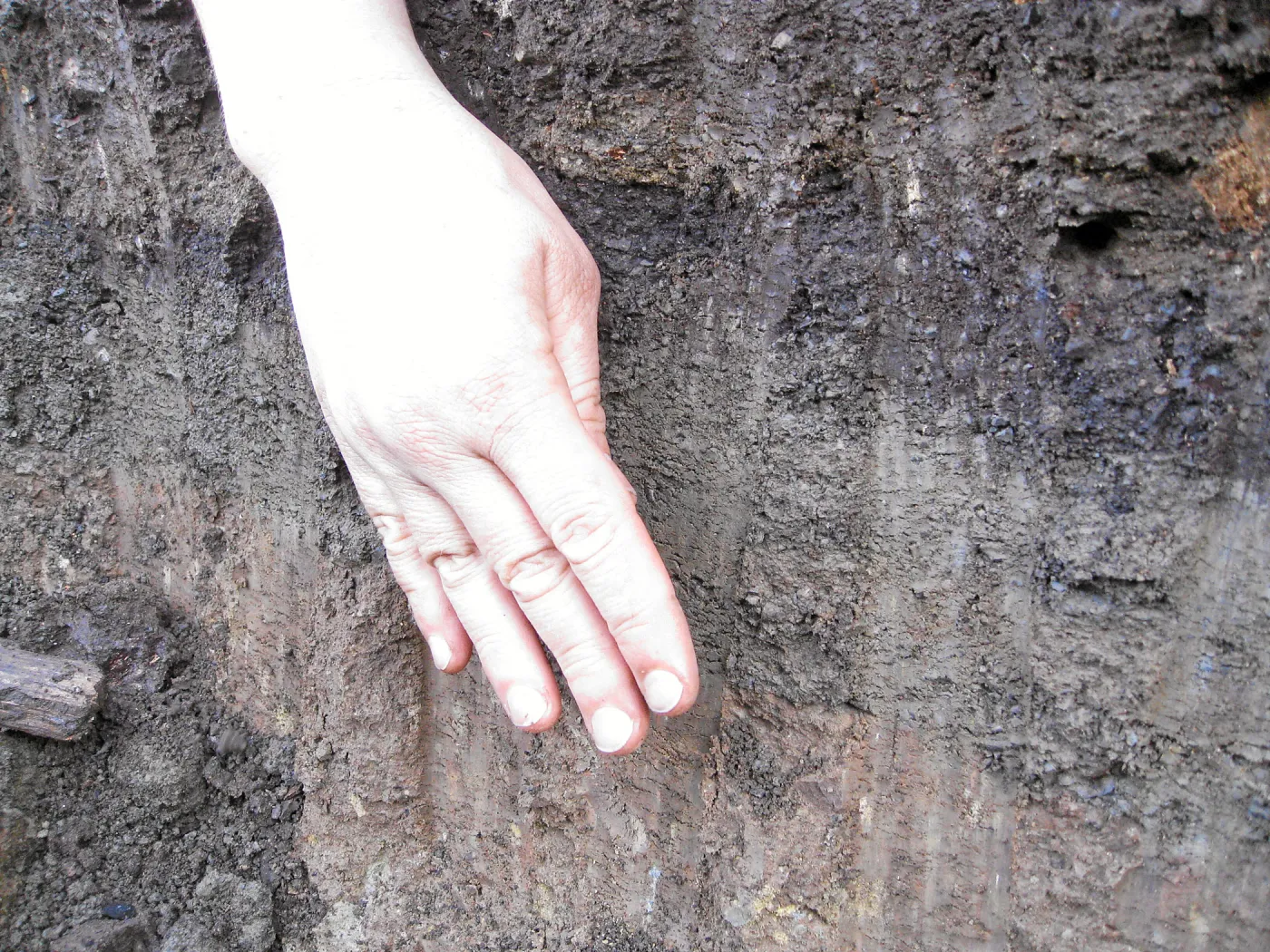 Soil profile showing shale buildup in holes dug for new oak trees in the Meadow Oaks