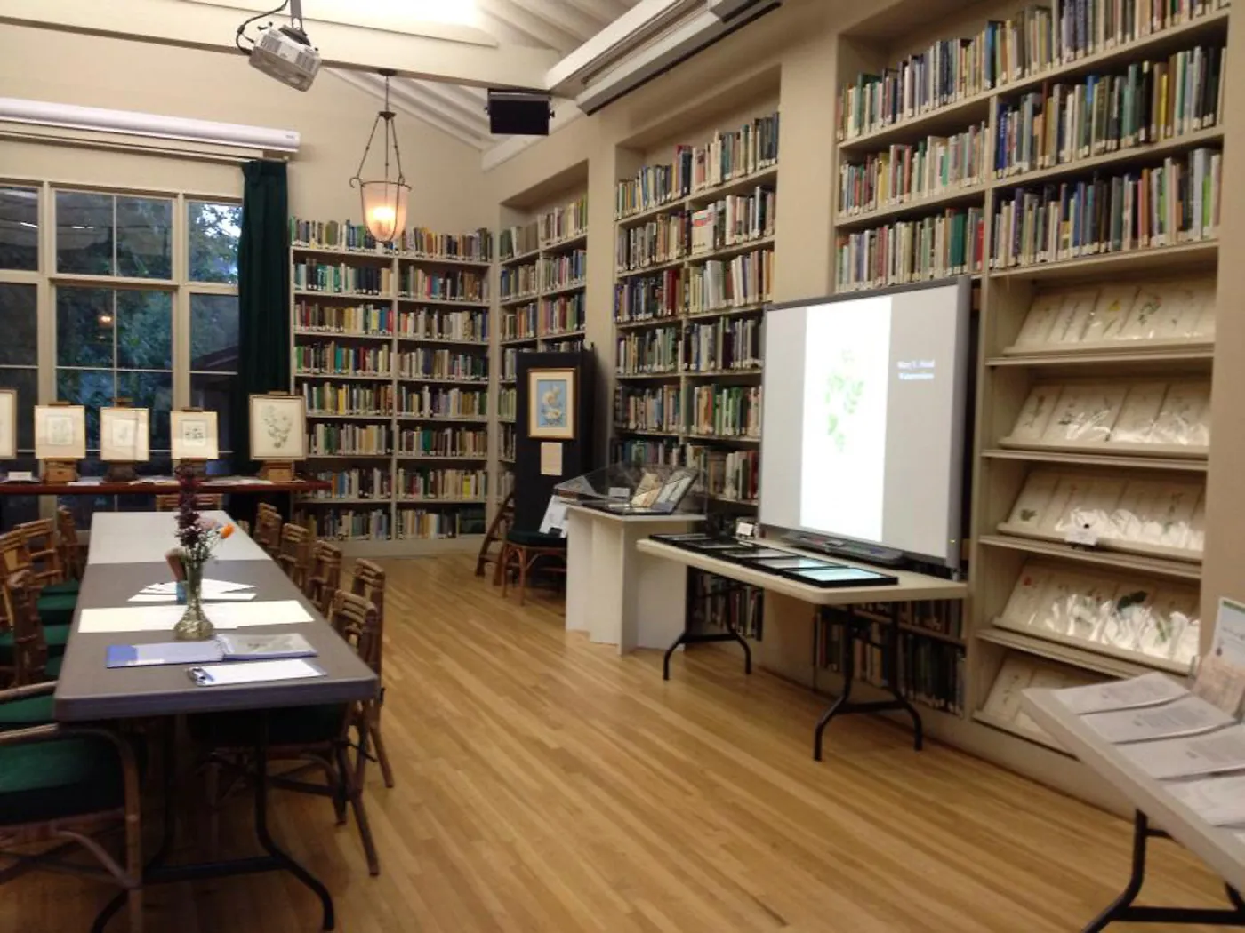 Art From the Blaksley Library, botanical art exhibit, April 2013