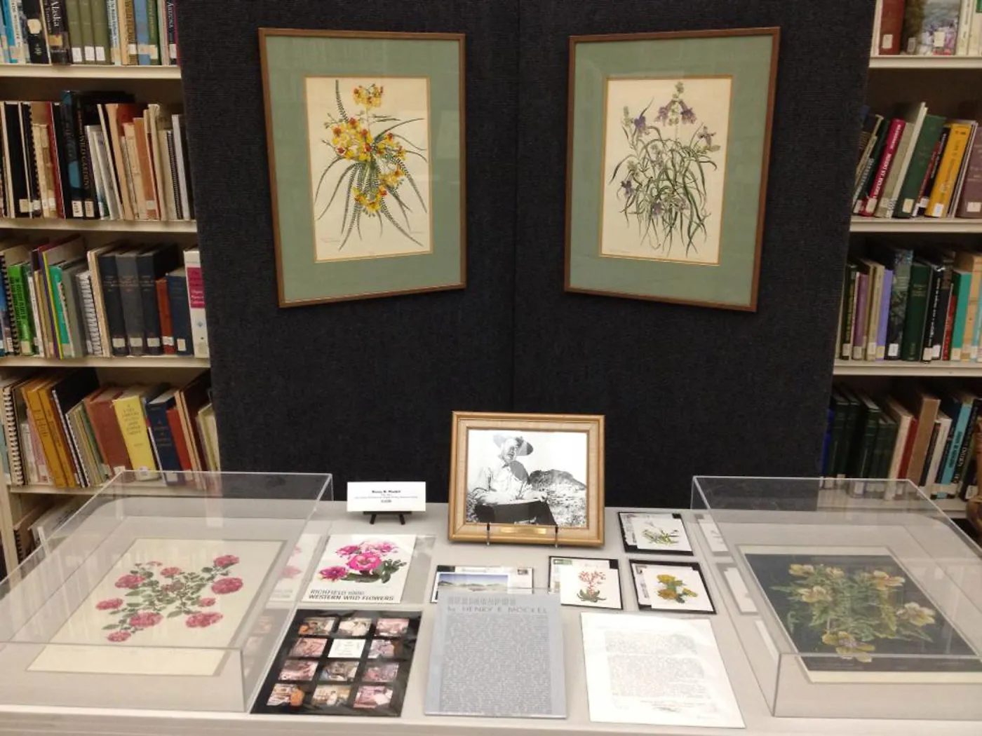 Art by Henry R. Mockel, Art From the Blaksley Library, botanical art exhibit, April 2013