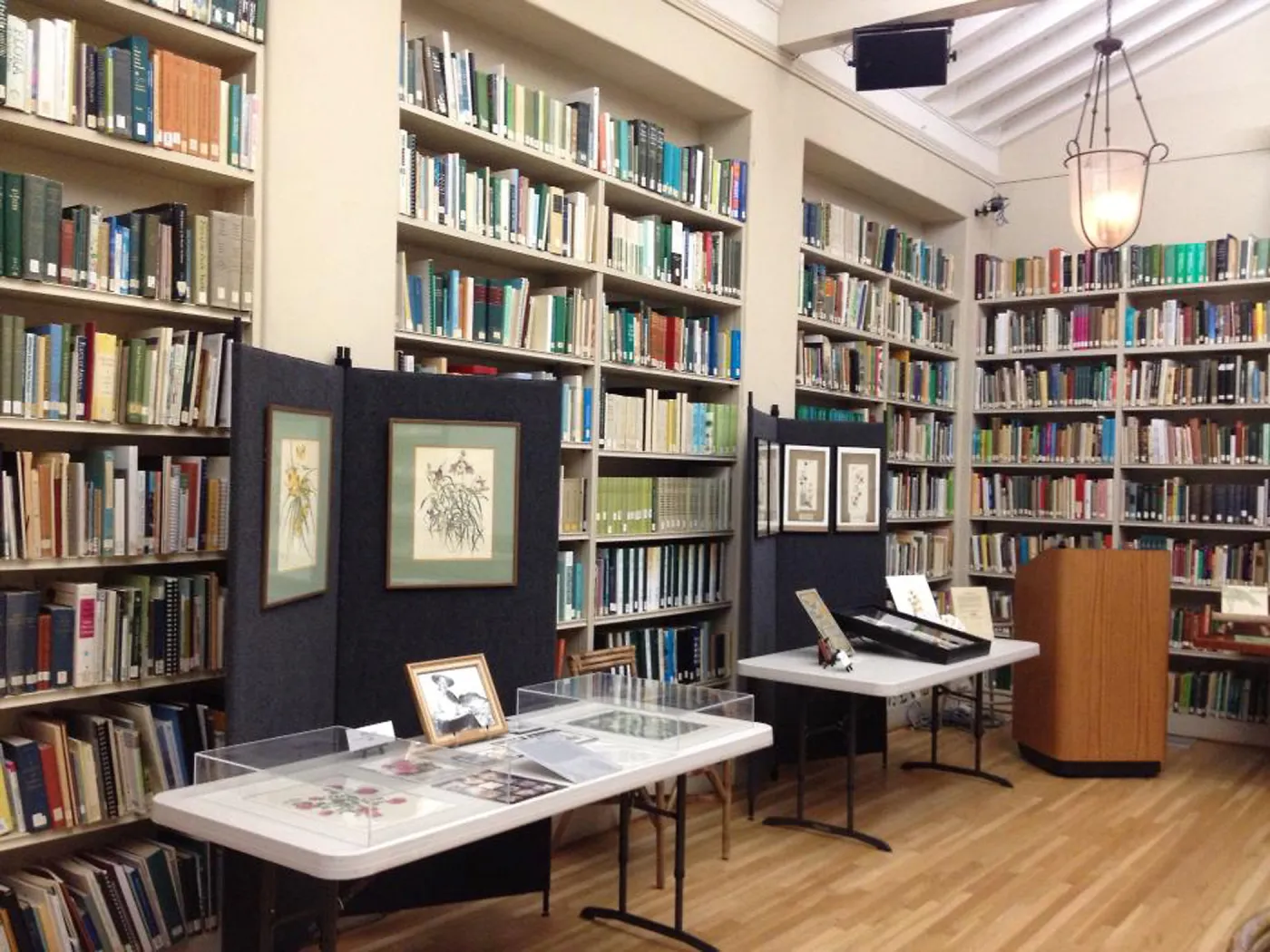 Art From the Blaksley Library, botanical art exhibit, April 2013