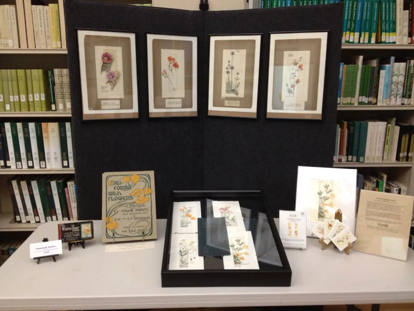 Art by Elizabeth Hallowell Saunders, Art From the Blaksley Library, botanical art exhibit, April 2013