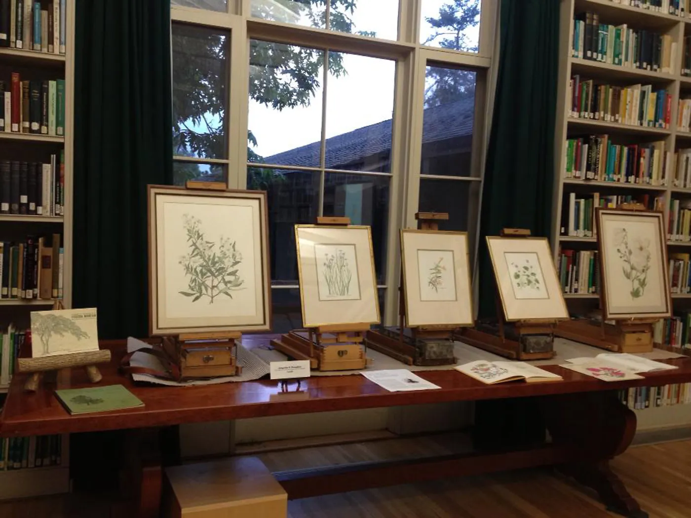 art by Jacqueline Broughton, Art From the Blaksley Library, botanical art exhibit, April 2013