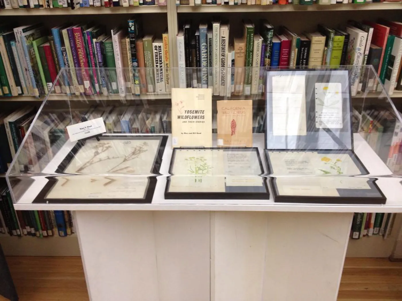 Art by Mary V. Hood, Art From the Blaksley Library, botanical art exhibit, April 2013