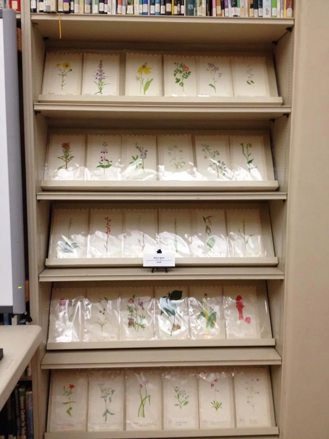 Art by Mary V. Hood, Art From the Blaksley Library, botanical art exhibit, April 2013