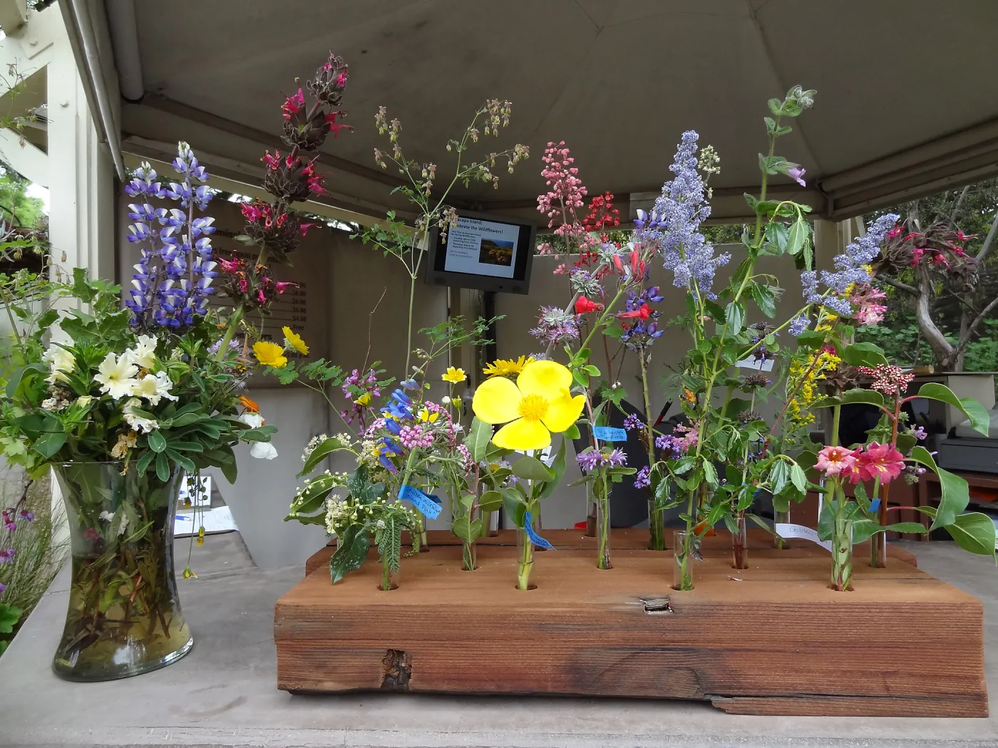 Spring Flowers display at the Visitor Entrance Kiosk