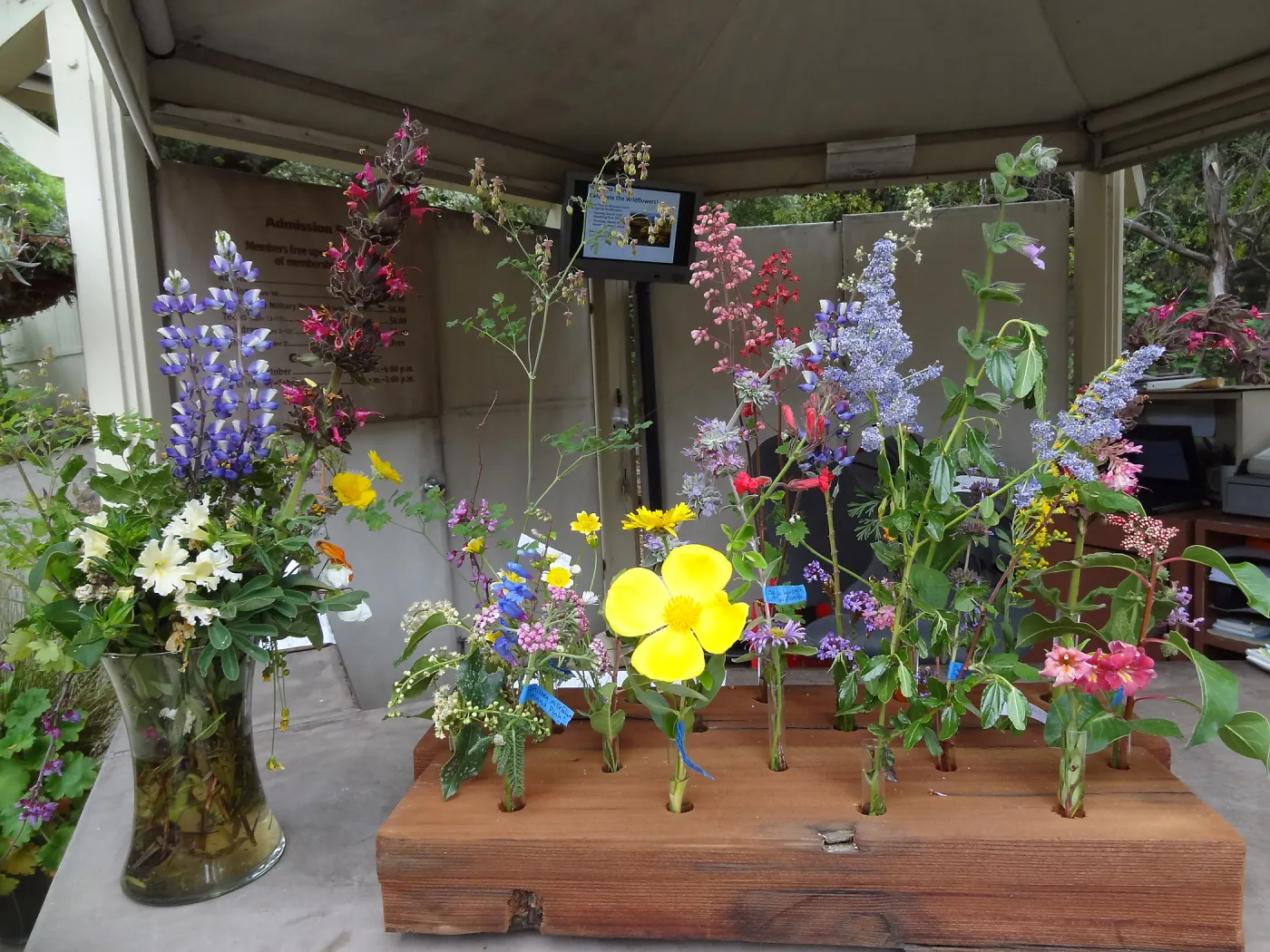Spring Flowers display at the Visitor Entrance Kiosk