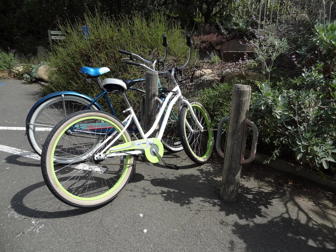 Bicycle parking in the SBBG parking lot