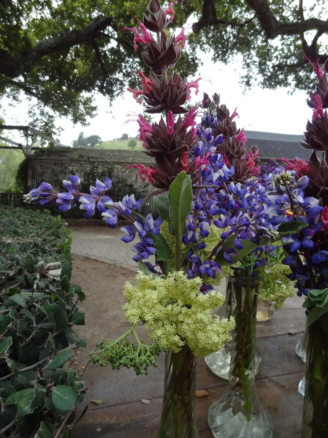 Native wildflower floral arrangements from the Garden, SBBG Members Picnic 2013, March 20 2013