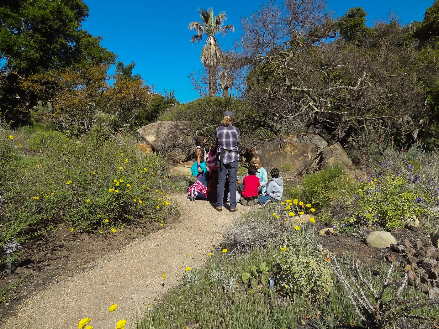 Docent with school children in the Desert Section, SBBG