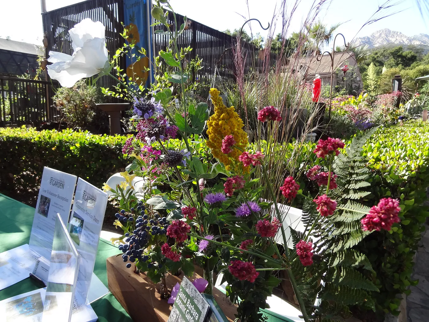SBBG hosts Santa Barbara Chamber of Commerce Mixer, June 2013, floral arrangement