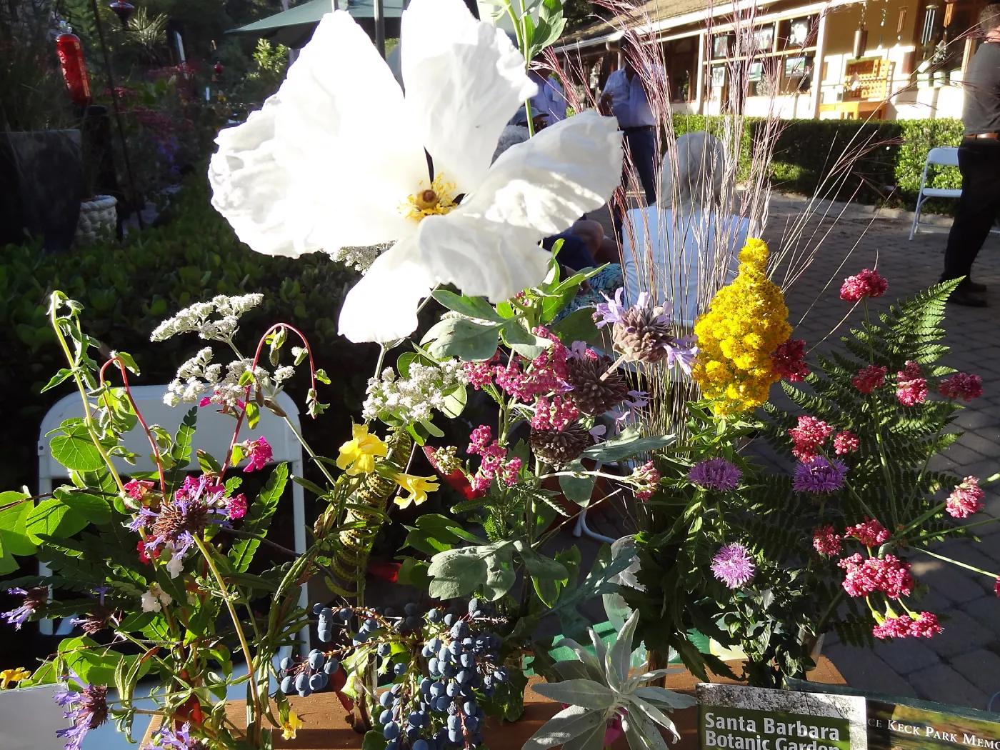 SBBG hosts Santa Barbara Chamber of Commerce Mixer, June 2013, floral arrangements