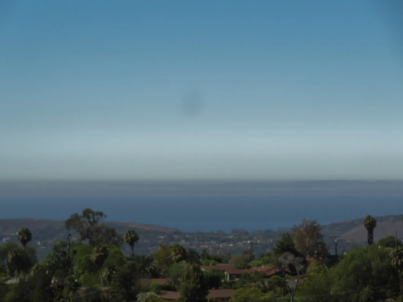 View of the Channel Islands from the Hort Unit, SBBG
