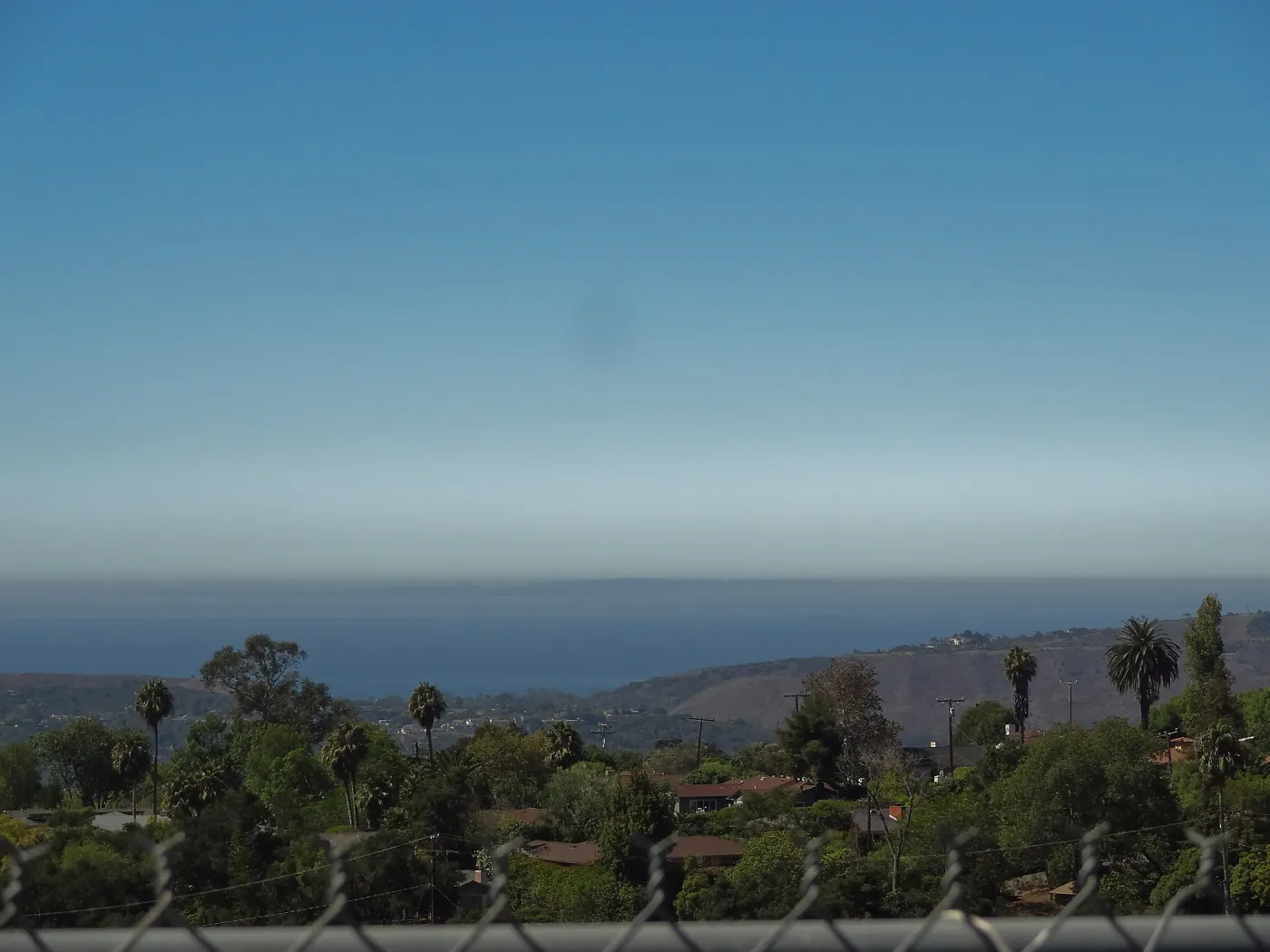 View of the Channel Islands from the Hort Unit, SBBG