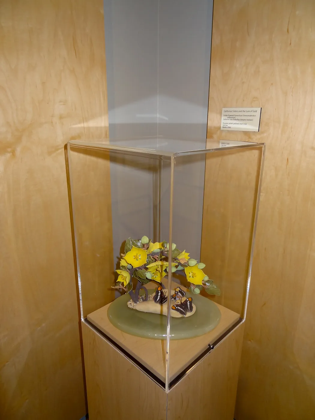 California Sisters and the Lure of Gold, Fremontodendron, porcelain sculpture, Patrick O'Hara exhibit at the Wildling Art Museum, SBBG Blaksley Library Special Collections, Art