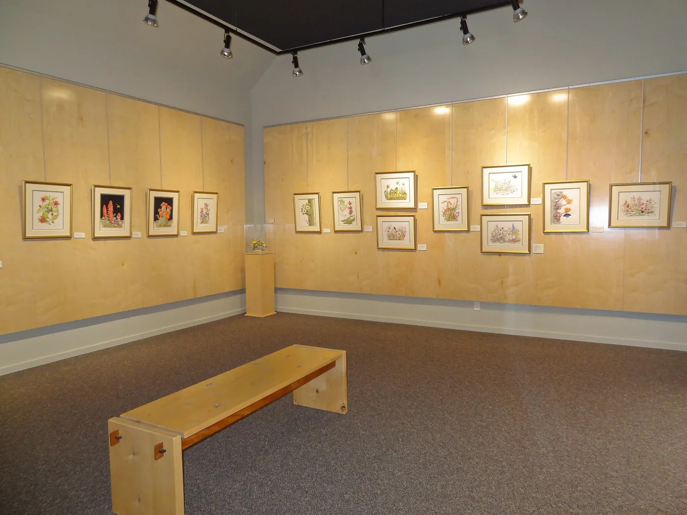 Patrick O'Hara exhibit at the Wildling Art Museum, SBBG Blaksley Library Special Collections, Art