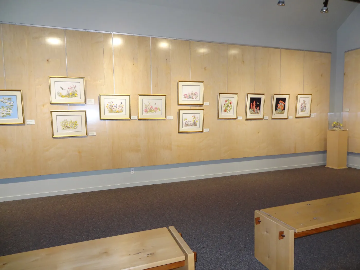 Patrick O'Hara exhibit at the Wildling Art Museum, SBBG Blaksley Library Special Collections, Art