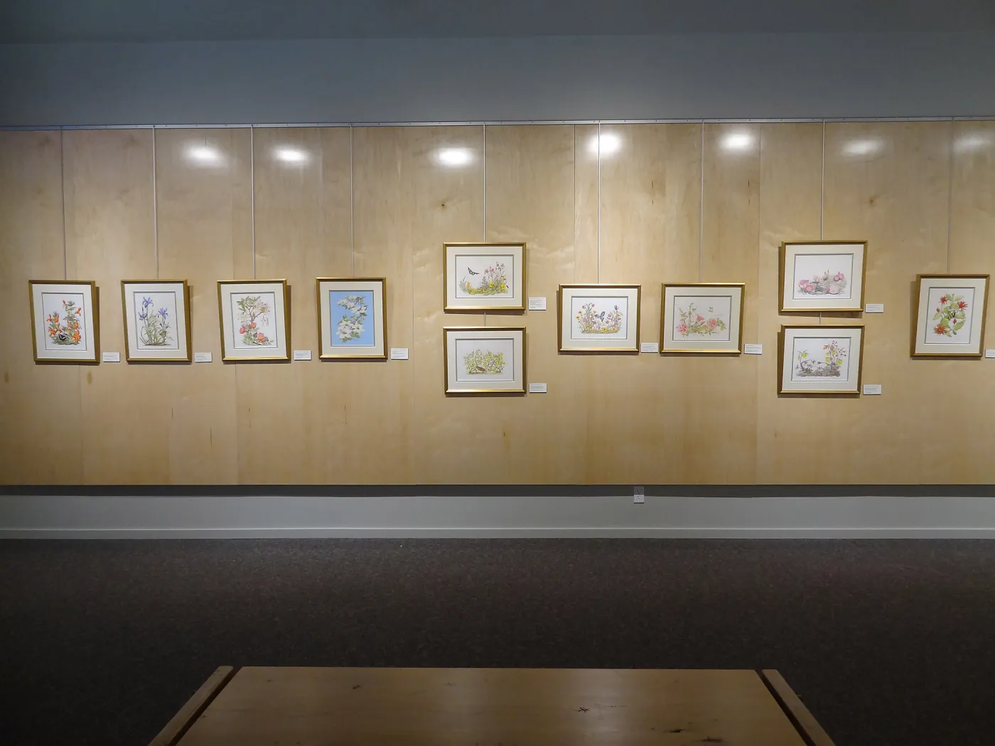 Patrick O'Hara exhibit at the Wildling Art Museum, SBBG Blaksley Library Special Collections, Art