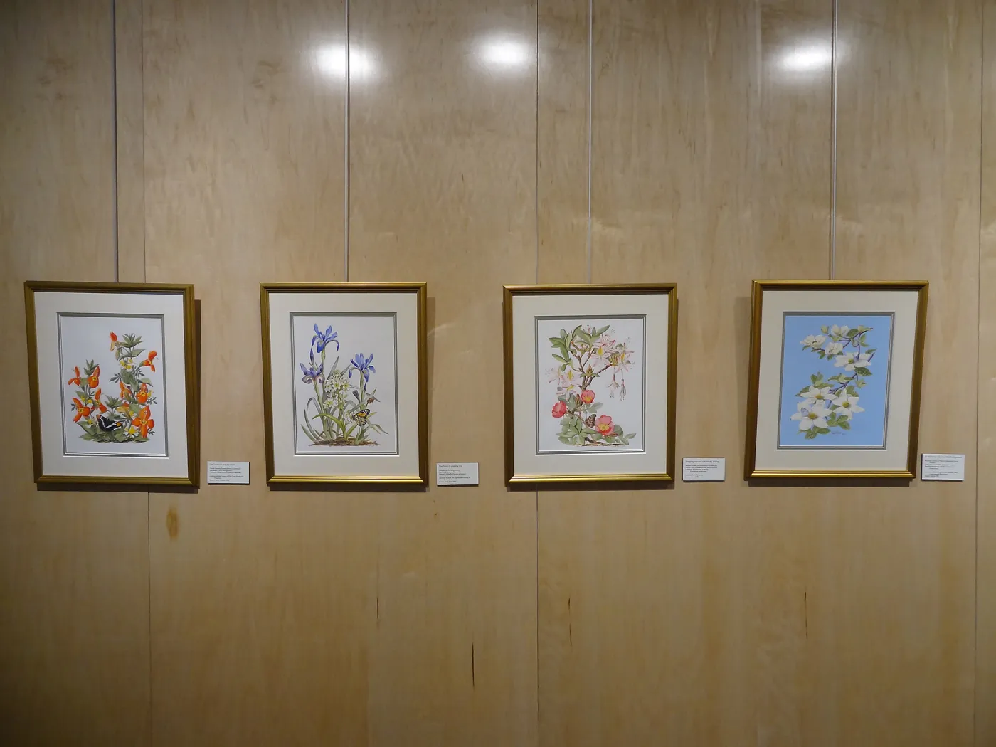 Patrick O'Hara exhibit at the Wildling Art Museum, SBBG Blaksley Library Special Collections, Art