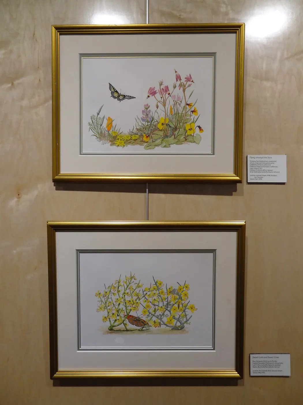 Patrick O'Hara exhibit at the Wildling Art Museum, SBBG Blaksley Library Special Collections, Art