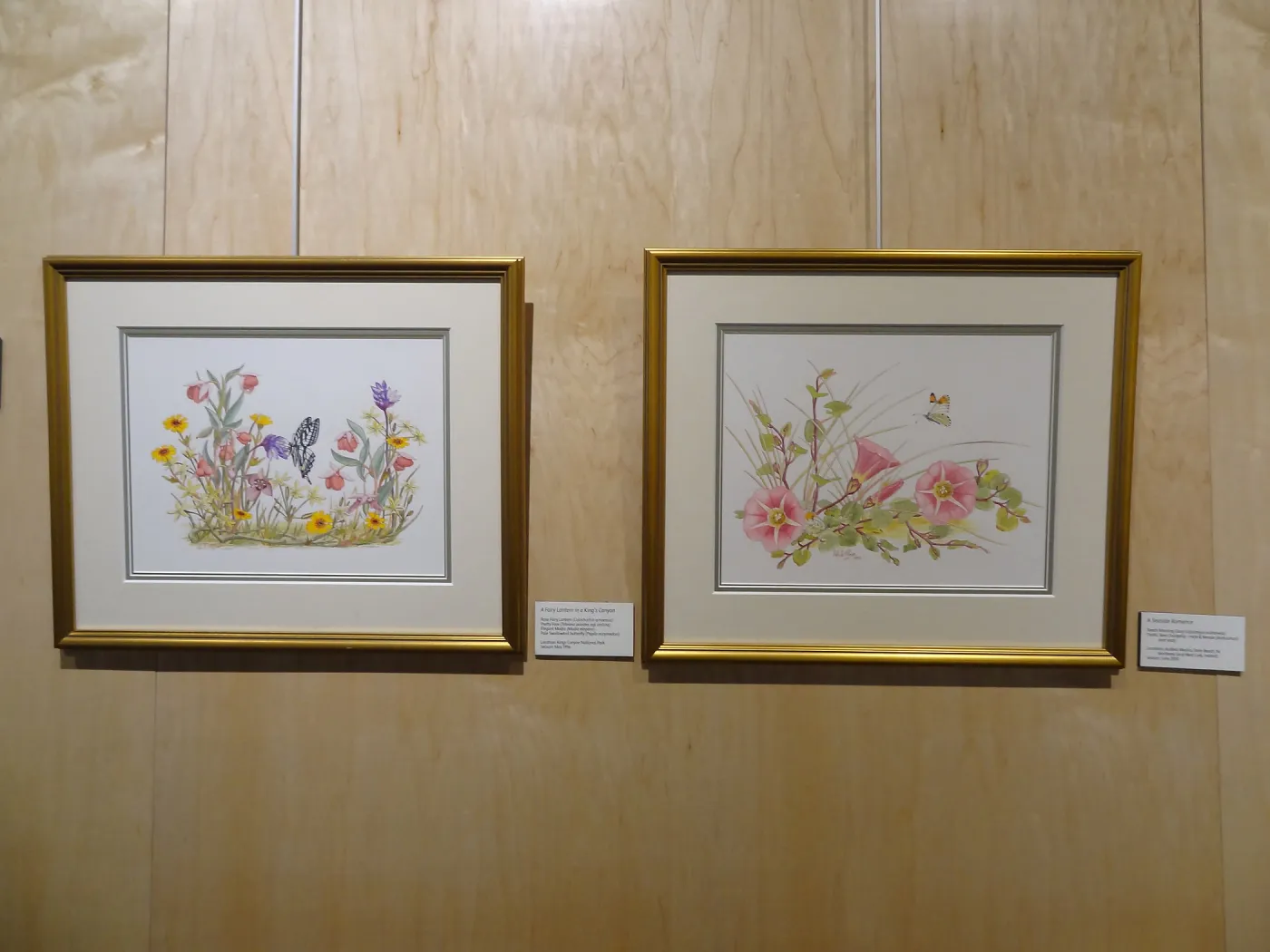 Patrick O'Hara exhibit at the Wildling Art Museum, SBBG Blaksley Library Special Collections, Art
