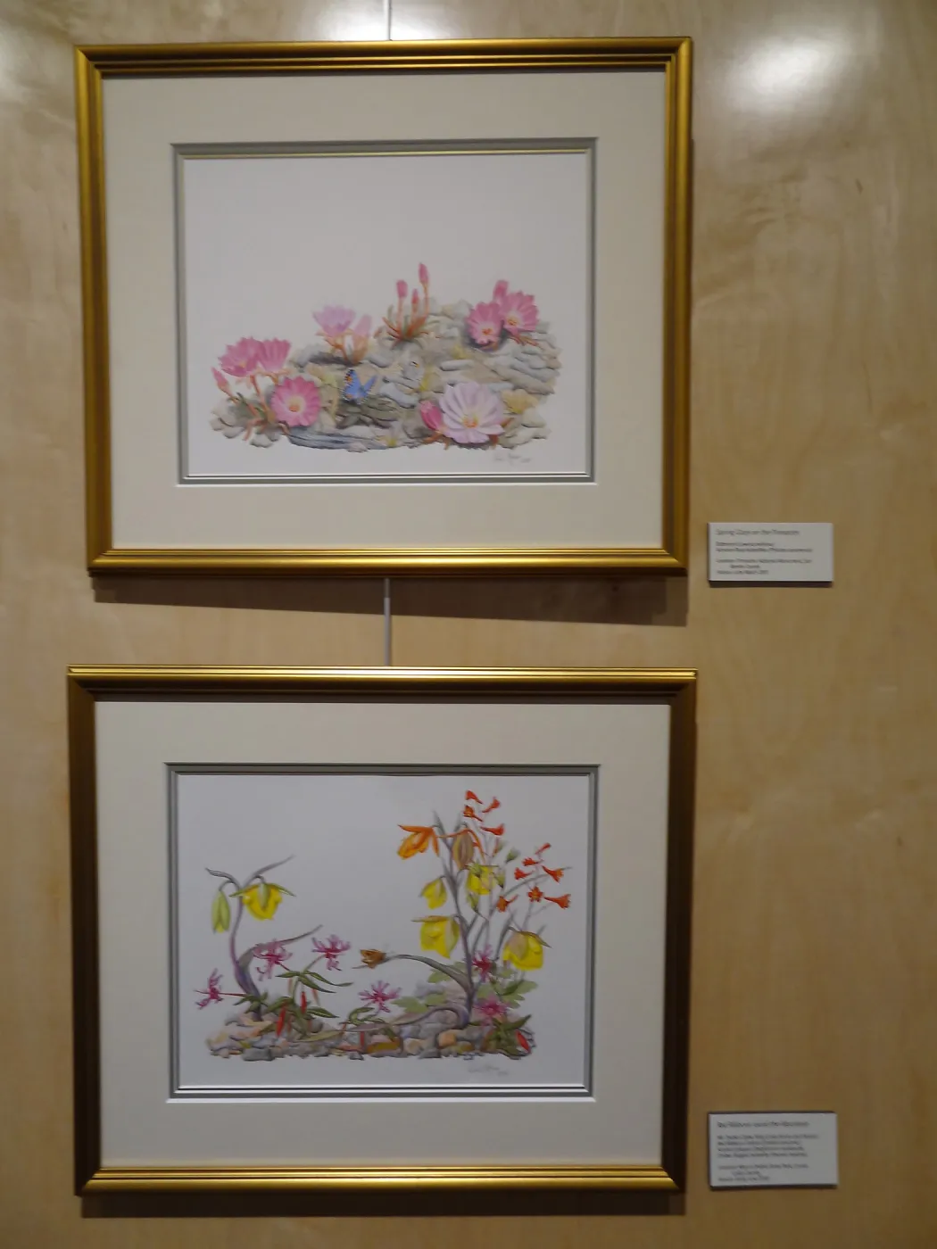 Patrick O'Hara exhibit at the Wildling Art Museum, SBBG Blaksley Library Special Collections, Art