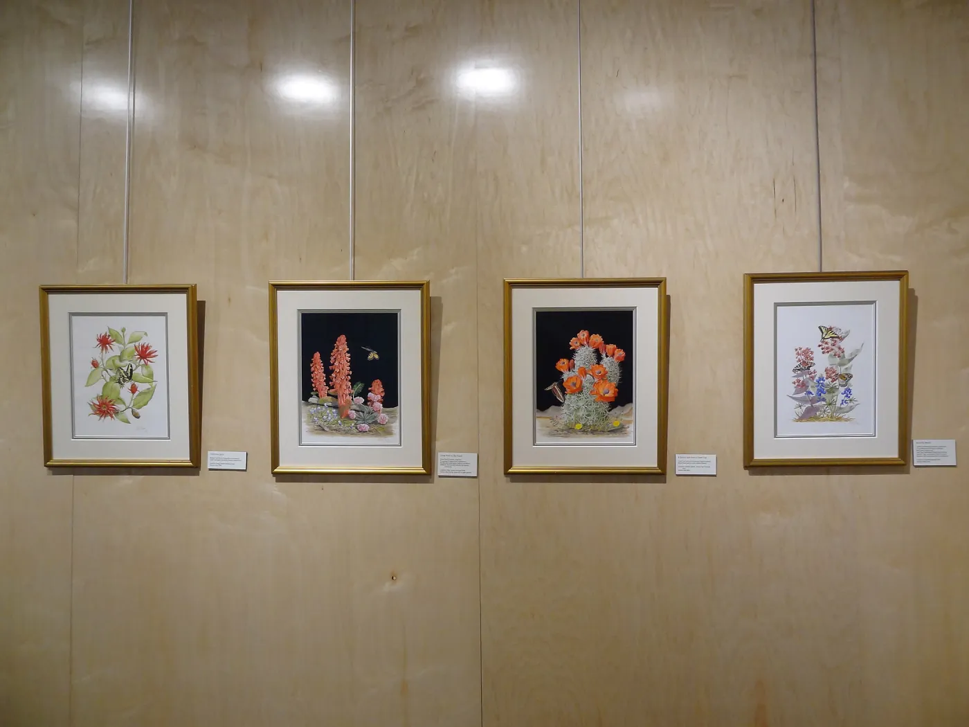 Patrick O'Hara exhibit at the Wildling Art Museum, SBBG Blaksley Library Special Collections, Art